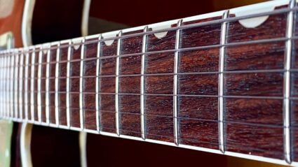 Gretsch Country Gentleman 1967