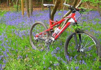 My 2010 S-Works Epic in Wyre Forest
